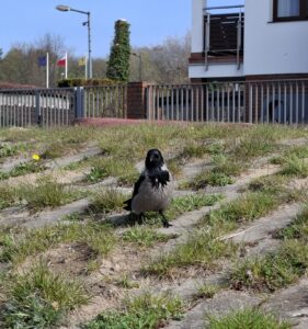 Osterurlaub an der polnischen Ostsee – Anreise